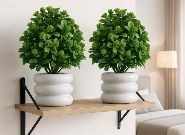 WhatsApp Image 2025-11-16 at 6.10.34 PM (1)